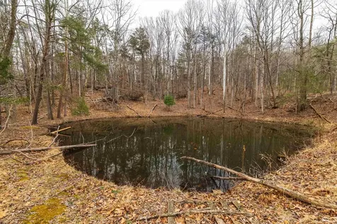 163 Acres Hopkins Gap Road Fulks Run VA 22830