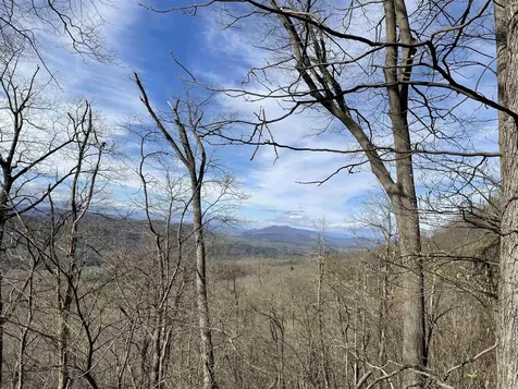 163 Acres Hopkins Gap Road Fulks Run VA 22830
