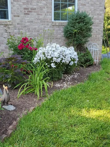 131 Rural Drive Mount Solon VA 22843
