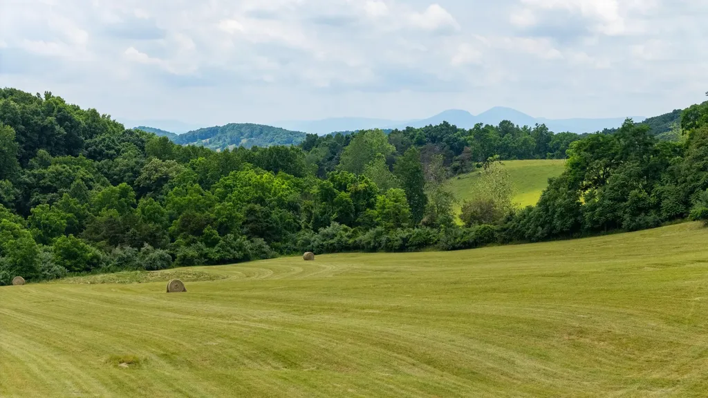 25 Koogler Trail Raphine VA 24472