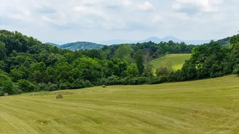 25 Koogler Trail Raphine VA 24472