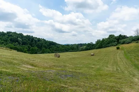 25 Koogler Trail Raphine VA 24472