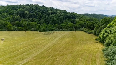 25 Koogler Trail Raphine VA 24472