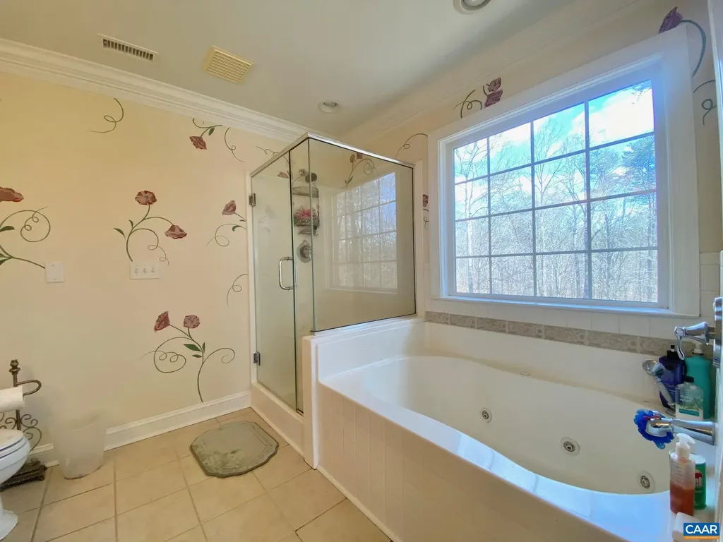 4605 Blue Run Road Somerset VA 22972