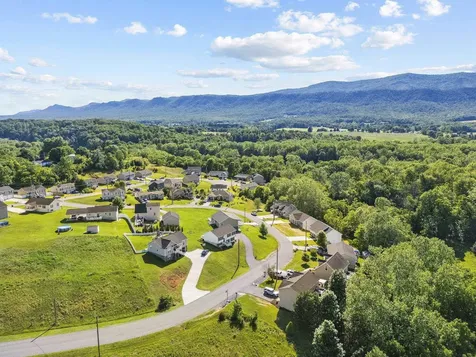 235 Locustdale Loop Shenandoah VA 22849
