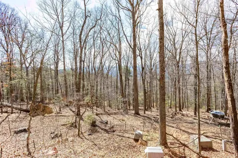12619 Cardinal Forest Drive Fulks Run VA 22830