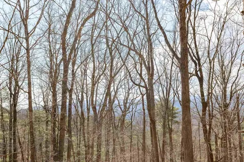 12619 Cardinal Forest Drive Fulks Run VA 22830