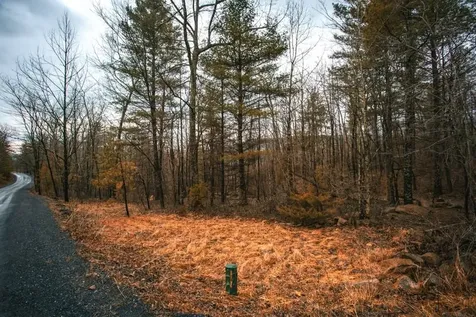 Lot 47 Fetterbush Lane Hinton VA 22831