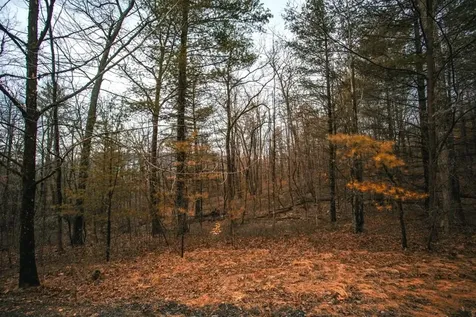 Lot 47 Fetterbush Lane Hinton VA 22831