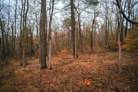 Lot 47 Fetterbush Lane Hinton VA 22831