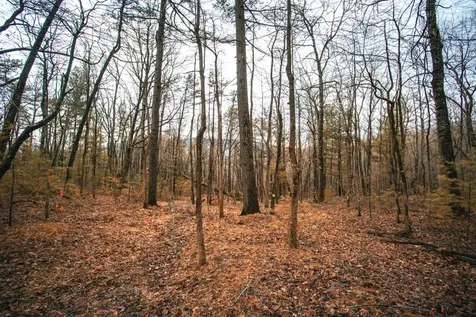 Lot 47 Fetterbush Lane Hinton VA 22831