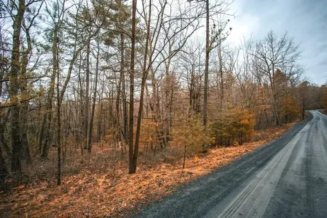 Lot 47 Fetterbush Lane Hinton VA 22831