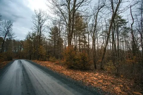 Lot 47 Fetterbush Lane Hinton VA 22831