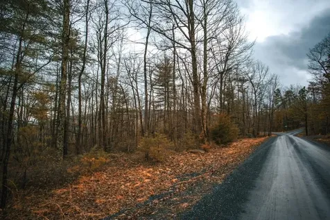 Lot 47 Fetterbush Lane Hinton VA 22831
