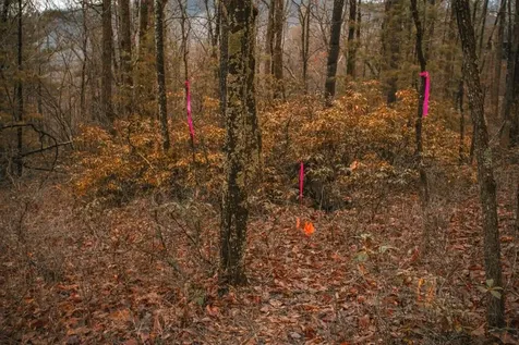 Lot 47 Fetterbush Lane Hinton VA 22831