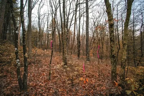 Lot 47 Fetterbush Lane Hinton VA 22831