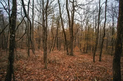 Lot 47 Fetterbush Lane Hinton VA 22831