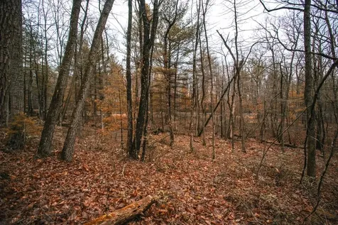 Lot 47 Fetterbush Lane Hinton VA 22831