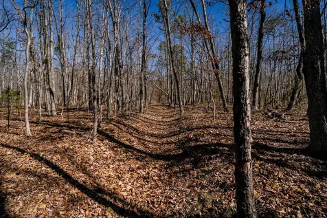Tbd Kemble Spring Lane Elkton VA 22827