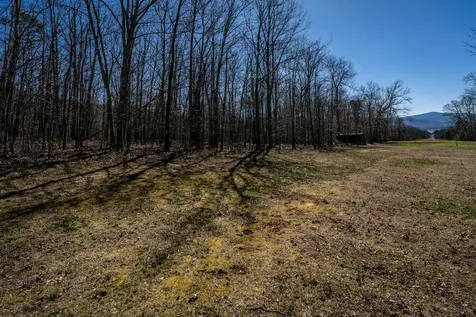 Tbd Kemble Spring Lane Elkton VA 22827