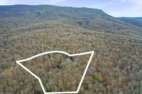 308 Brush Leaf Lane Mt Jackson VA 22842