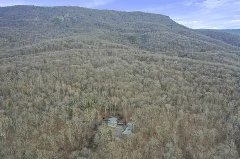 308 Brush Leaf Lane Mt Jackson VA 22842