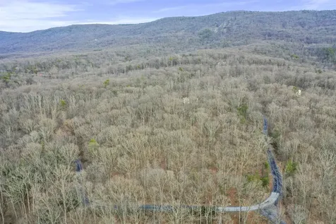 308 Brush Leaf Lane Mt Jackson VA 22842