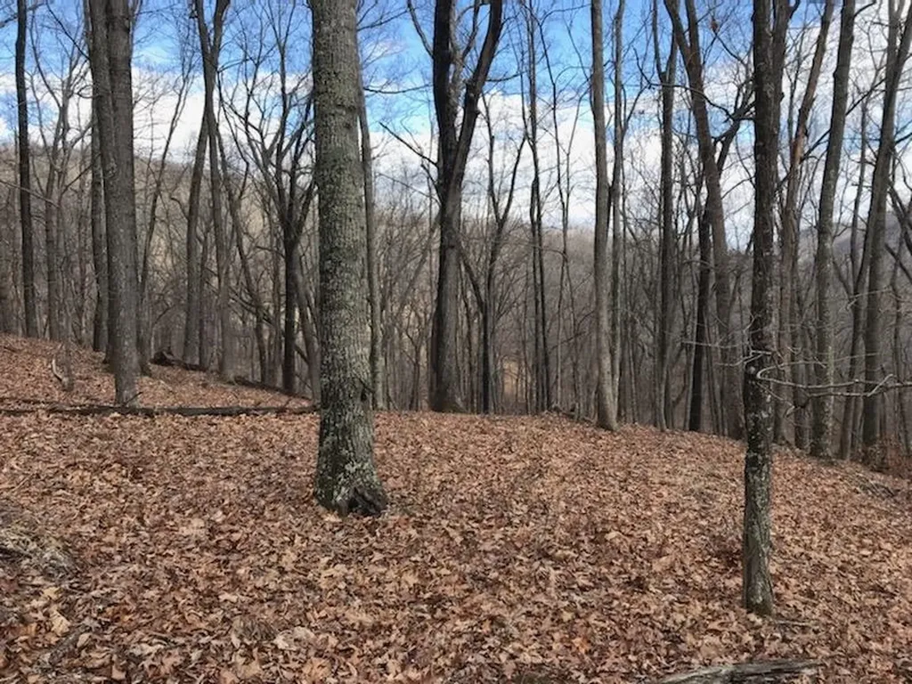 35 Dogwood Lane Monterey VA 24465