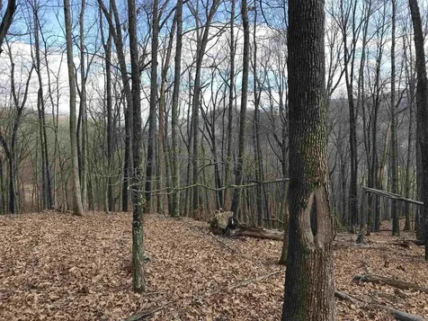 35 Dogwood Lane Monterey VA 24465