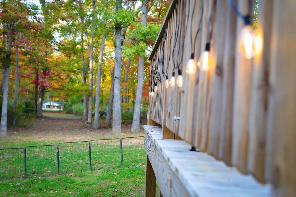 31 Big Bird Lane Crimora VA 24431