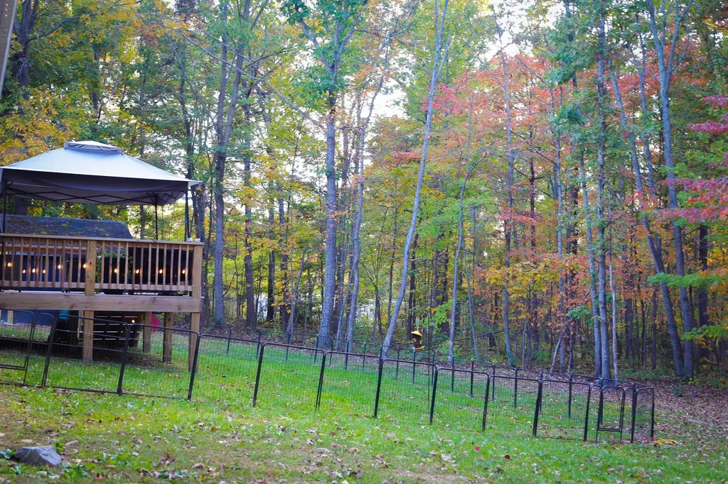 31 Big Bird Lane Crimora VA 24431