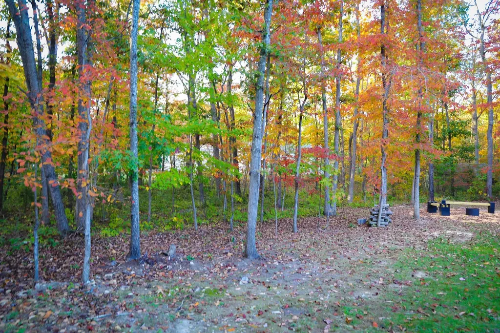 31 Big Bird Lane Crimora VA 24431