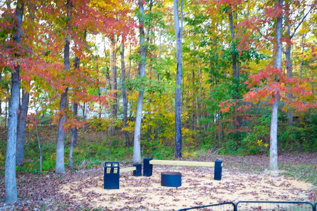 31 Big Bird Lane Crimora VA 24431