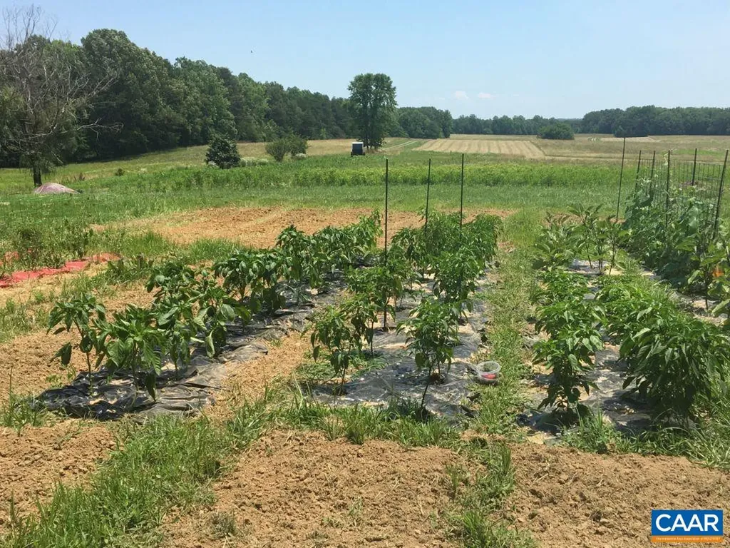 877 Holland Creek Road Louisa VA 23093