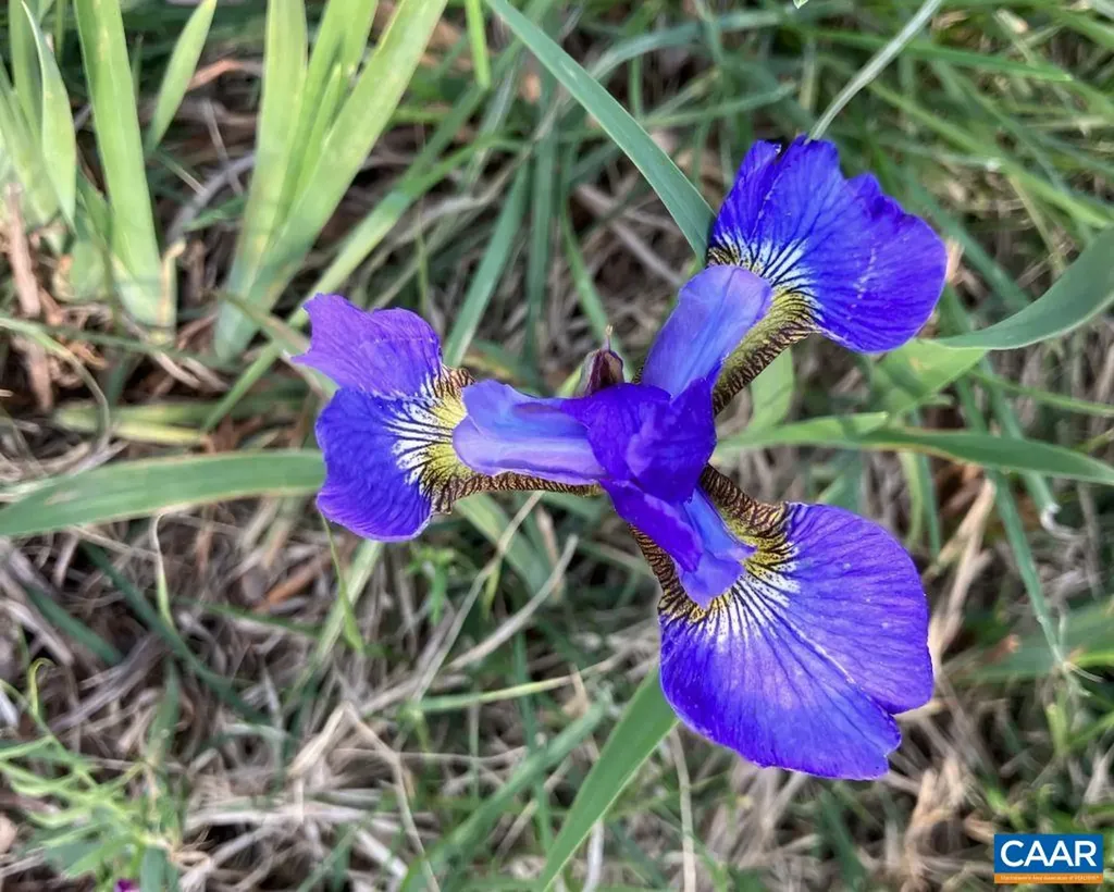 877 Holland Creek Road Louisa VA 23093