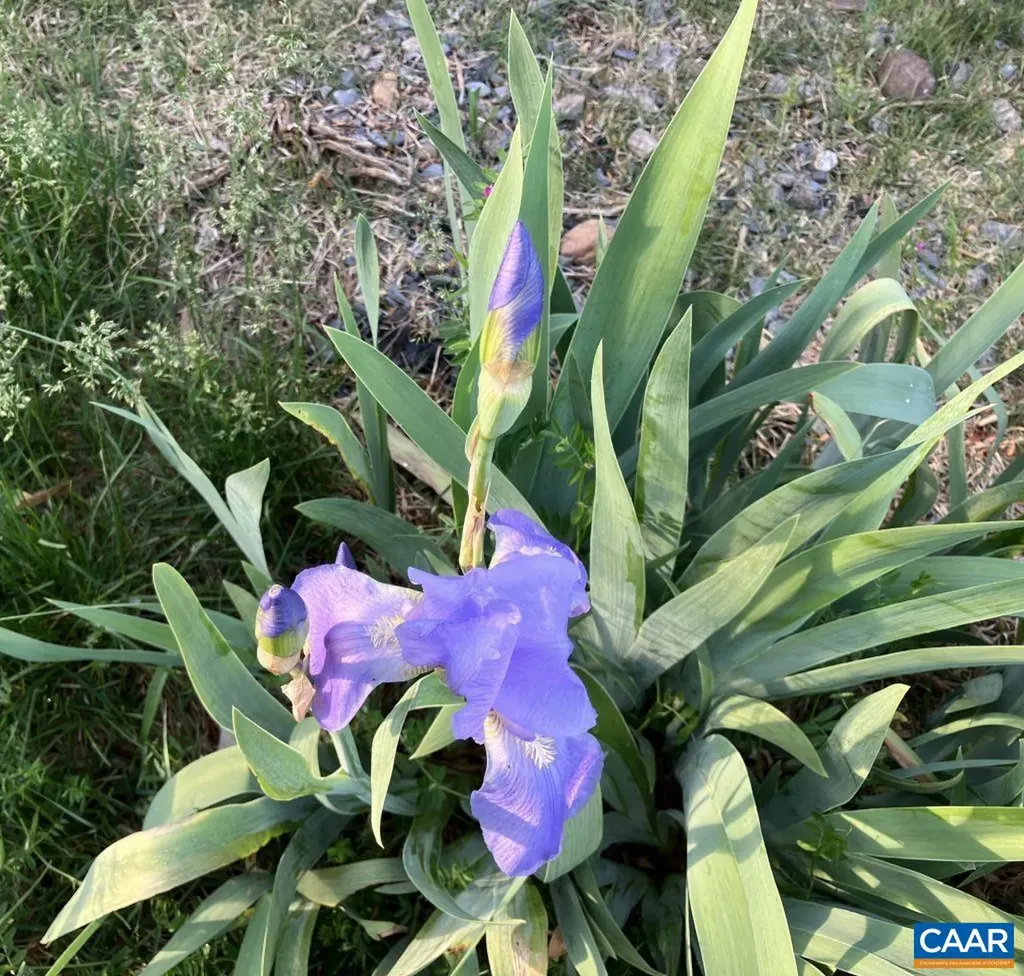 877 Holland Creek Road Louisa VA 23093