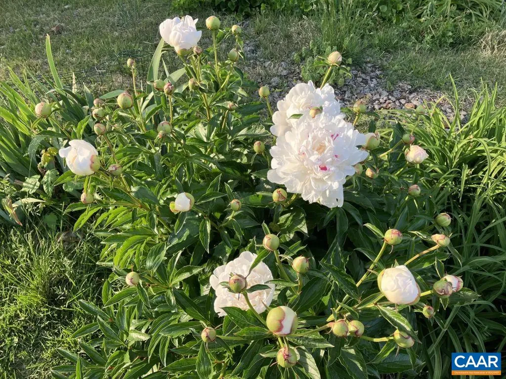 877 Holland Creek Road Louisa VA 23093