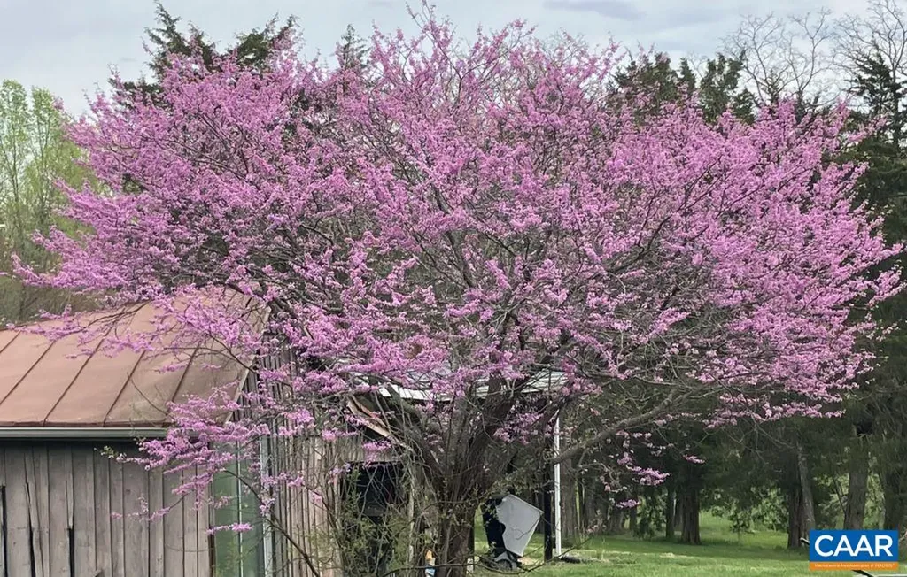 877 Holland Creek Road Louisa VA 23093