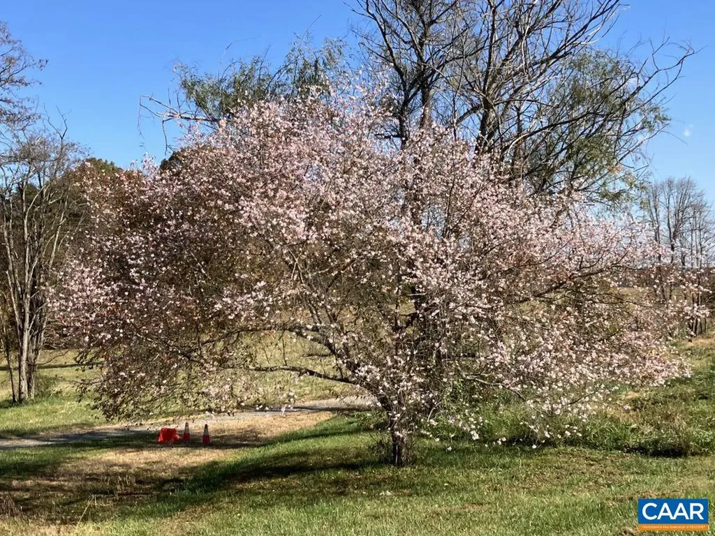 877 Holland Creek Road Louisa VA 23093