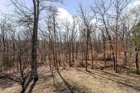 220 Martin Lane Mcgaheysville VA 22840