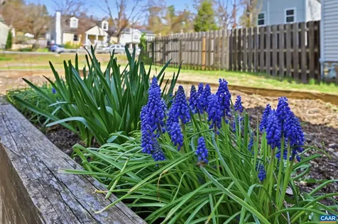 1641 Cherry Avenue Charlottesville VA 22903