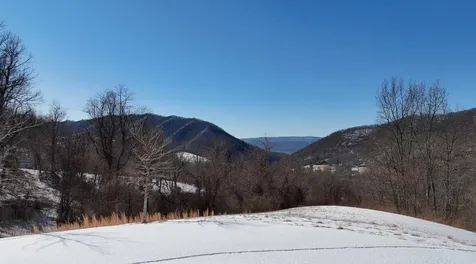 26 Steeple View Warm Springs VA 24484