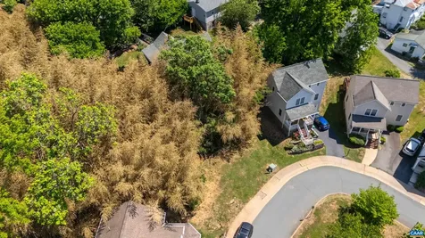 123 And 125 Roys Place Charlottesville VA 22902
