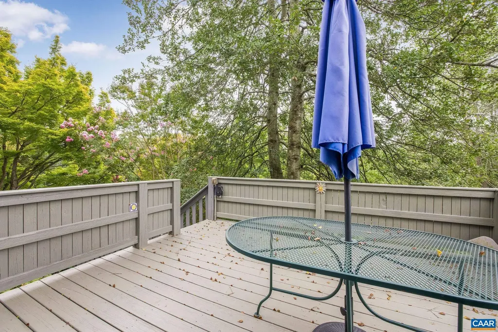 518 1st Street N Charlottesville VA 22902