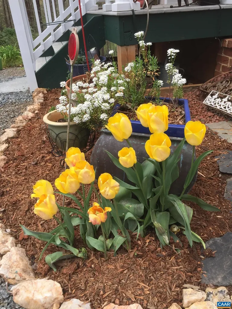 5864 Wyant Lane Charlottesville VA 22903