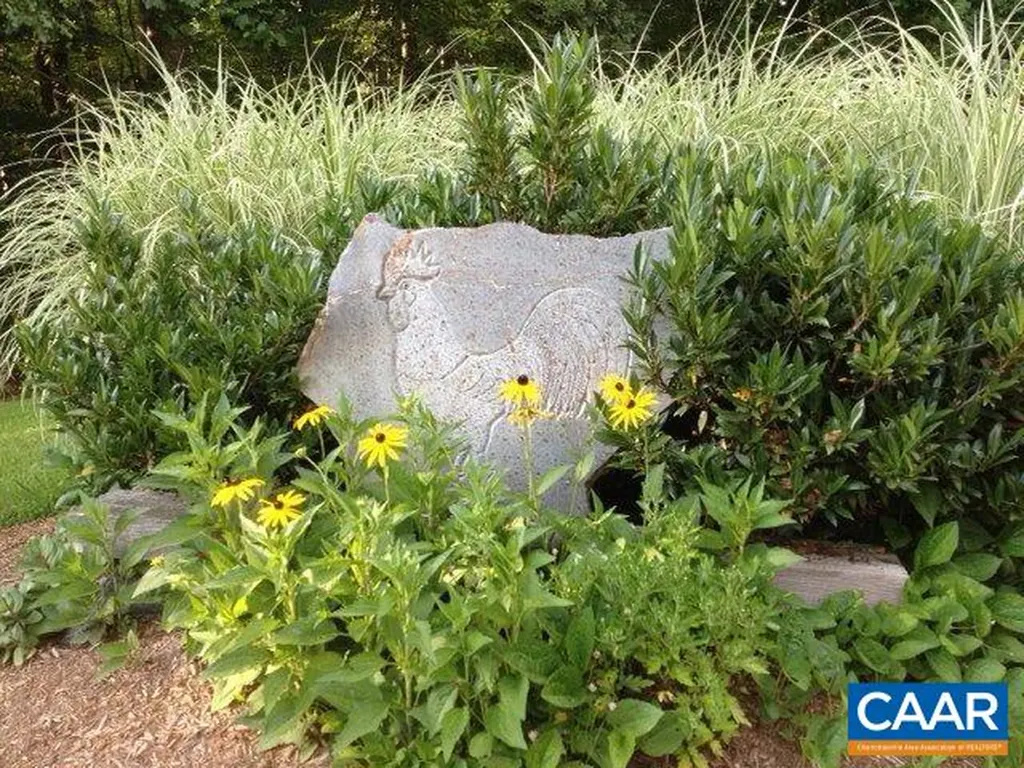 5864 Wyant Lane Charlottesville VA 22903