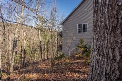140 Laird Place Mcgaheysville VA 22840