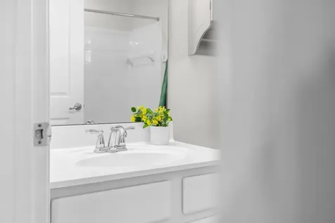 4517 Briarwood Drive Charlottesville VA 22911