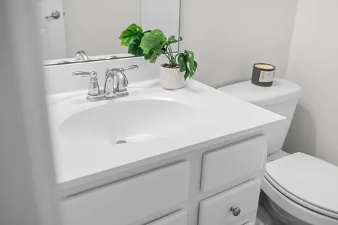 4517 Briarwood Drive Charlottesville VA 22911