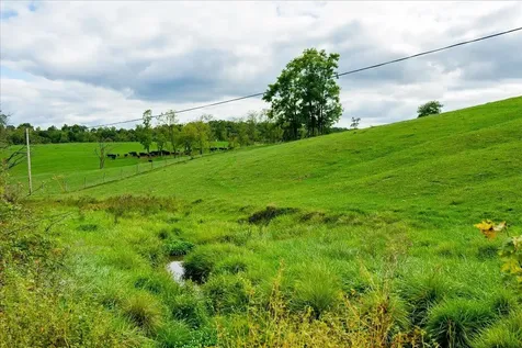 Tbd Knupp Road Timberville VA 22853